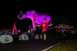 BIB: 
                            <button type="button" onclick="openModal(26543910)" class="btn btn-primary btn-sm float-right btn-popup" data-toggle="modal" data-target=".modal-high-quality">
                        <i class="fas fa-shopping-cart"></i> Add to Cart
                    </button>
                                            <button type="button" onclick="isThisMe(26543910, true)" class="btn btn-success btn-sm float-right btn-popup btn-isme hidden" data-toggle="tooltip" data-placement="bottom" title="นี่คือรูปของคุณใช่ไหม คลิกที่นี่เพื่อเอาเข้าอัลบั้ม">
                        <i class="fas fa-plus"></i> Add to album
                    </button>
                    <button type="button" onclick="isThisMe(26543910, false)" class="btn btn-warning btn-sm float-right btn-popup btn-isnotme hidden">
                        <i class="fas fa-ban"></i> Remove from album
                    </button>